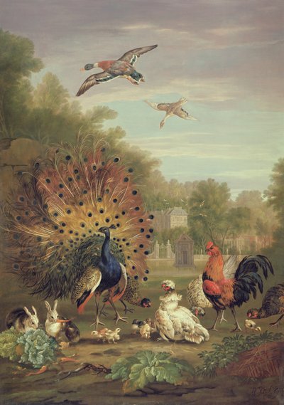 الطاووس والأرانب في المناظر الطبيعية بواسطة بيتر كاستيلز